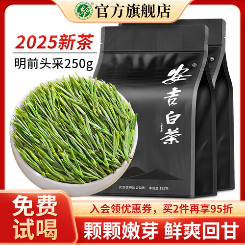 头采2025新茶安吉白茶特级茶叶
