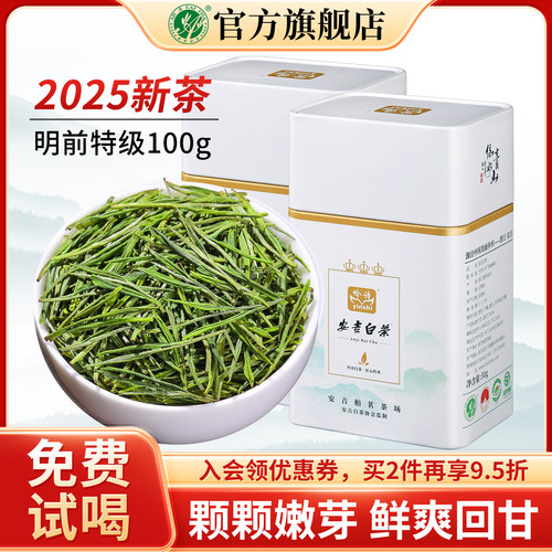 安吉白茶2025新茶明前绿茶嫩芽