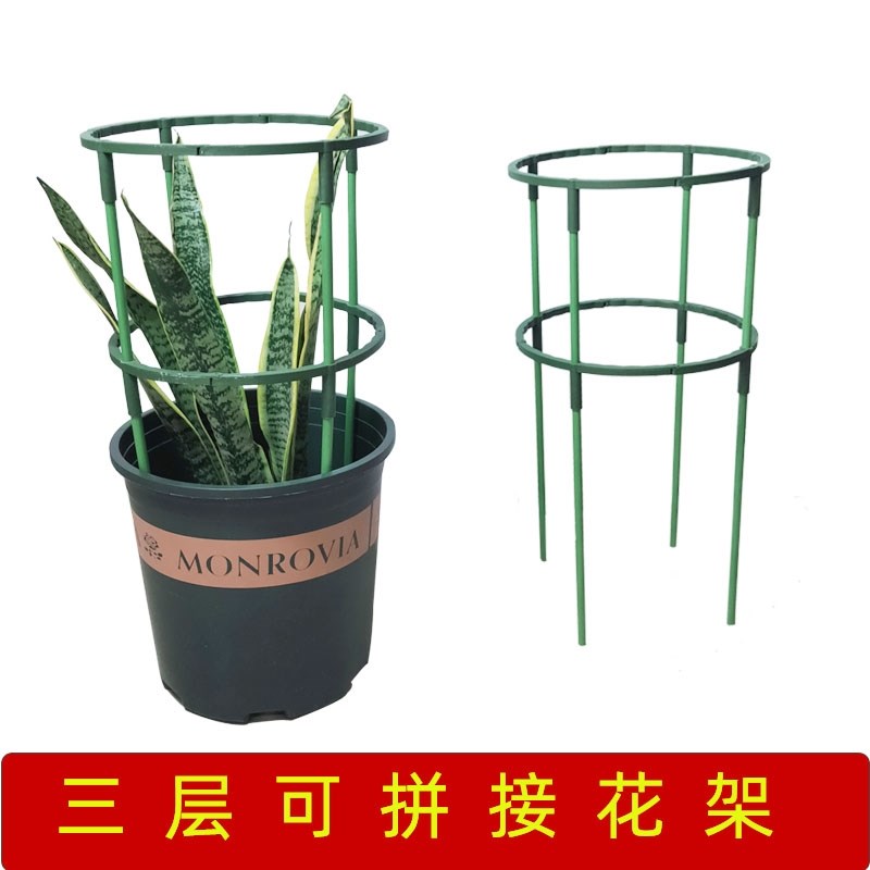 客厅兰花专用架蟹爪兰专用支三角梅爬藤架植物防倒伏支架铁线攀爬