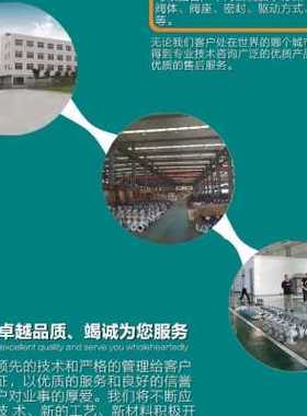 新手动铸钢蒸汽20Z41H16C32明杆闸阀65DN8010040法兰25高温g50品