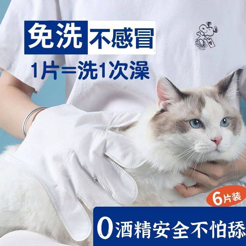 宠物免洗手套湿巾狗狗猫咪豚鼠荷兰猪专用清洁湿巾一次性洗澡手套,宠物/宠物食品及用品,猫狗免洗清洁,淘宝优惠券,粉丝福利购,淘宝优惠卷