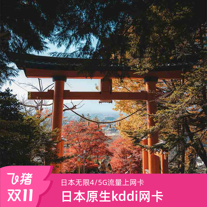日本电话卡Docomo