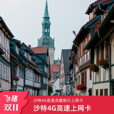 沙特电话卡上网卡