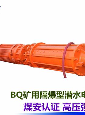抢险救援矿用隔爆型潜水电泵 BQ725-160/4-500矿用隔爆型潜水电泵