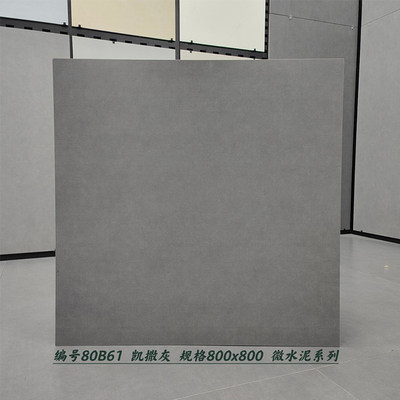 新品瓷砖柔光素色微水泥瓷砖800x800卧室客厅地砖厨房浴室400x800