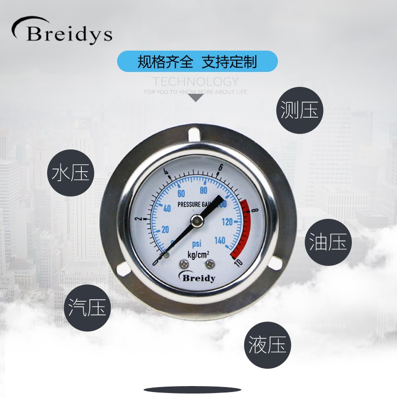 YN50ZT压力表不锈钢耐震压力表测水压气压通用0-1.6/100mpa多量程