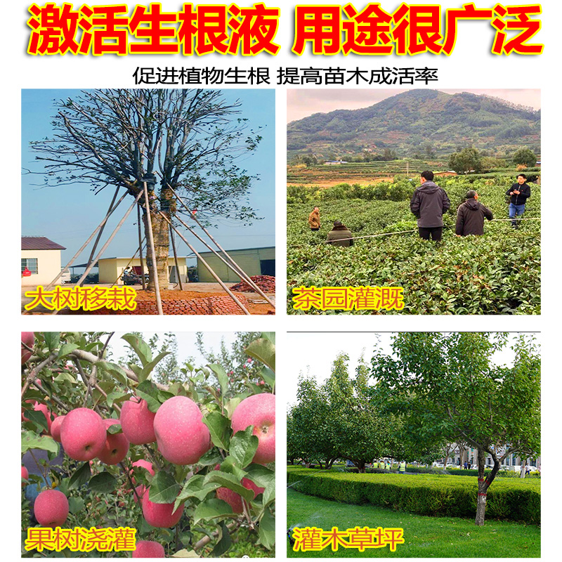 树木生根剂果树移栽扦插发根液强力生根液植物通用型营养液壮苗剂