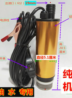 厂促电动抽油泵抽水机潜水泵自吸家用12v24 220v