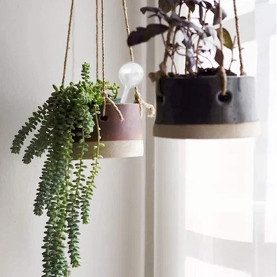 好货6 Pcs Clear Plant Watering Bulbs Garden Watering