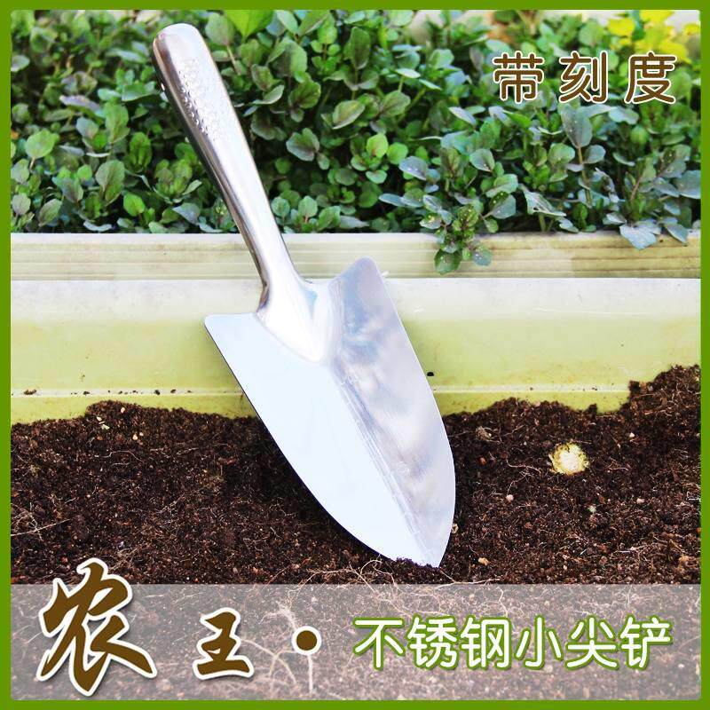 极速园艺工具园林用品小铲子不锈钢小尖铲(带刻度)种花种菜工具
