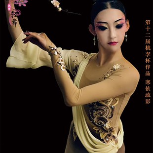 2025新款艺考服古典舞蹈演出服寒依疏影同款独舞桃李杯演出服定制