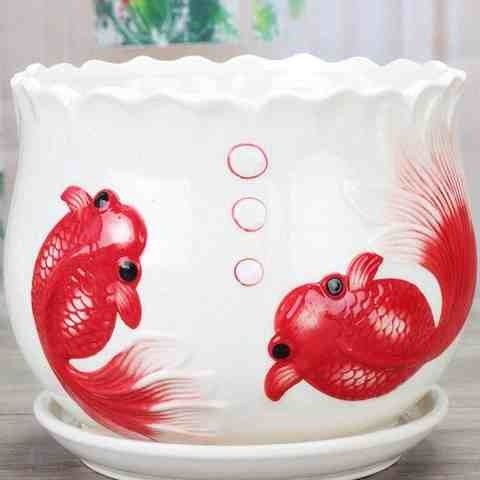 圆形花盆托盘绿萝栀子花鸿运当头发财树小大号托盘带陶瓷