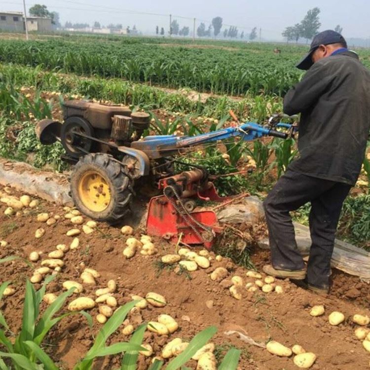 地下农作物收获机 60公分地瓜收获机 红薯挖掘收获机现货