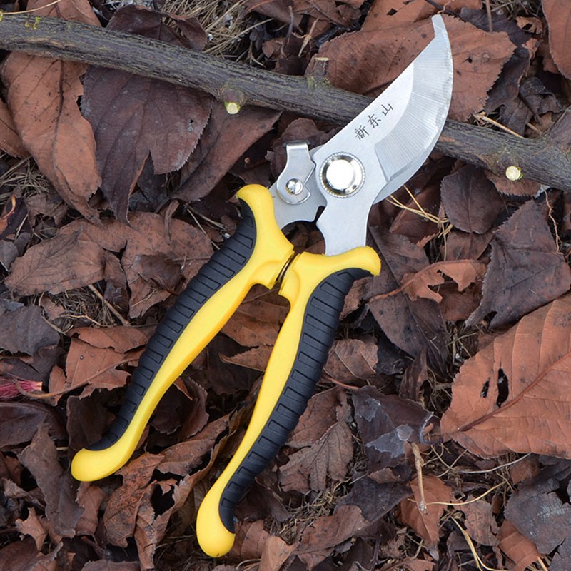 园艺剪刀剪枝果树园林修枝剪树枝花剪修花剪子神器强力大修剪