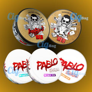 瑞典PABLO正品薄荷味口含 pouch 包邮 5盒顺丰 多拍优惠 盒子snus