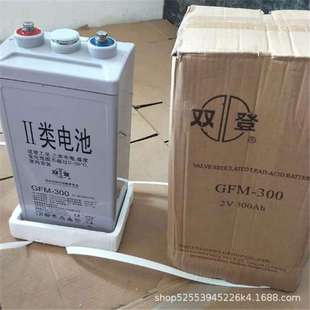500光伏发电UPS EPS太阳能机房直流屏专用 2v300 双登2v200ah