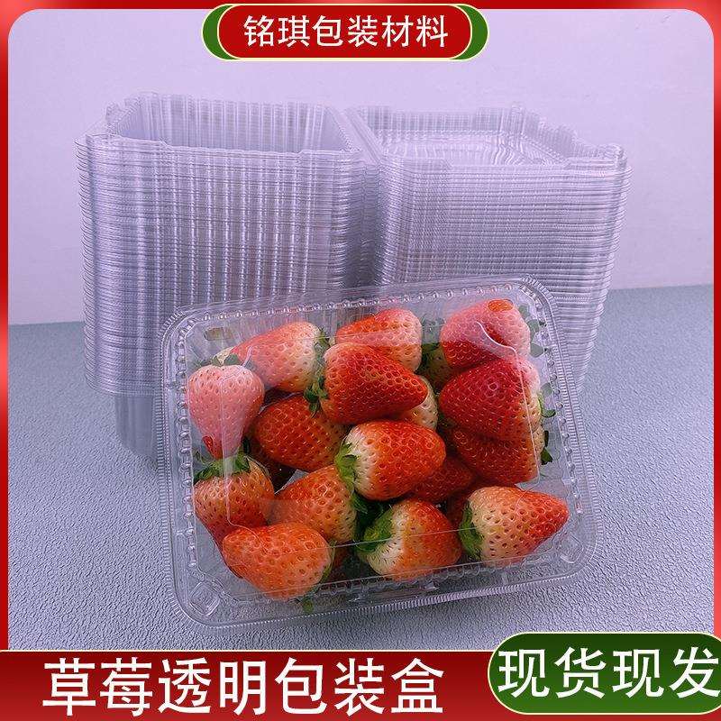 一斤装水果盒一次性带盖透明草莓盒榴莲打包盒车厘子盒果蔬包装盒
