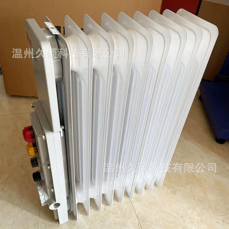 防爆电热油汀取暖器220V