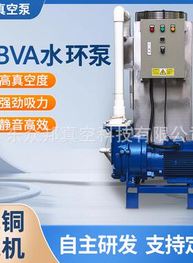 2BVA水环真空泵耐腐蚀负压装置系统不锈钢水环式真空泵机组一体机