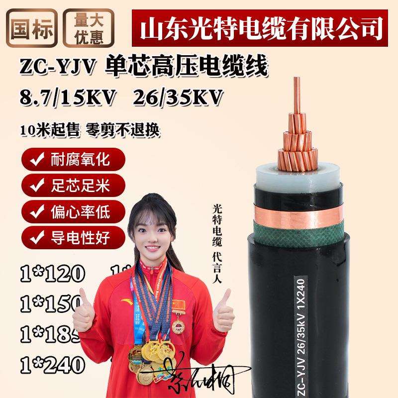 10KV高压电缆YJV62单芯铜线70/120/240平方15/35KV铠装高压电缆线