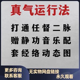 中医视频真气运行法打通任督二脉教学课程全集教音乐程自学李少波
