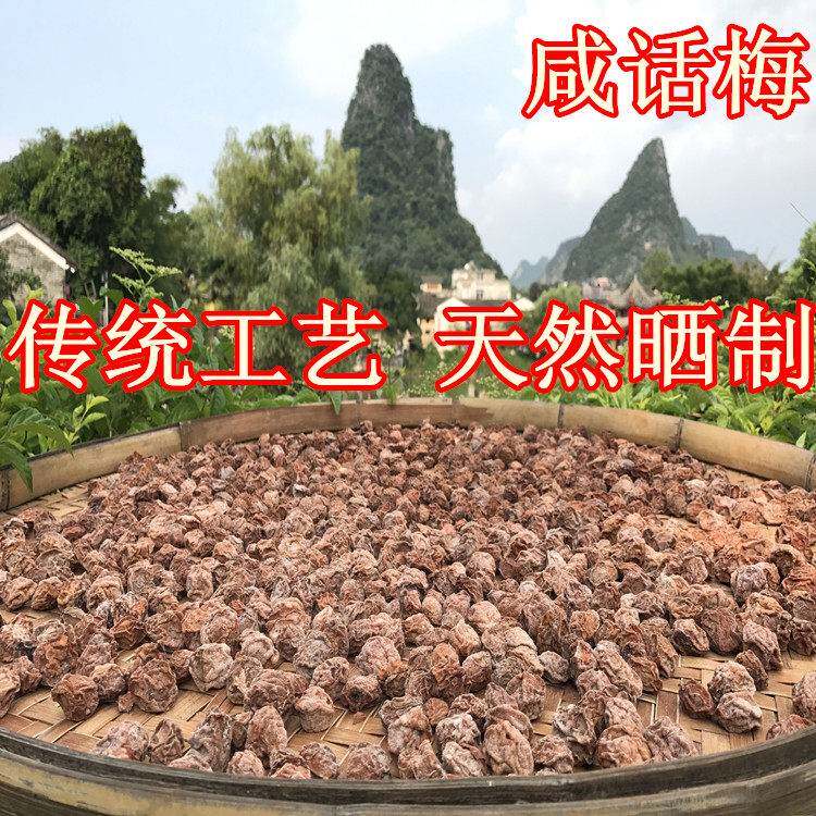广西黄姚古镇特产咸话梅纯手工制作无添加