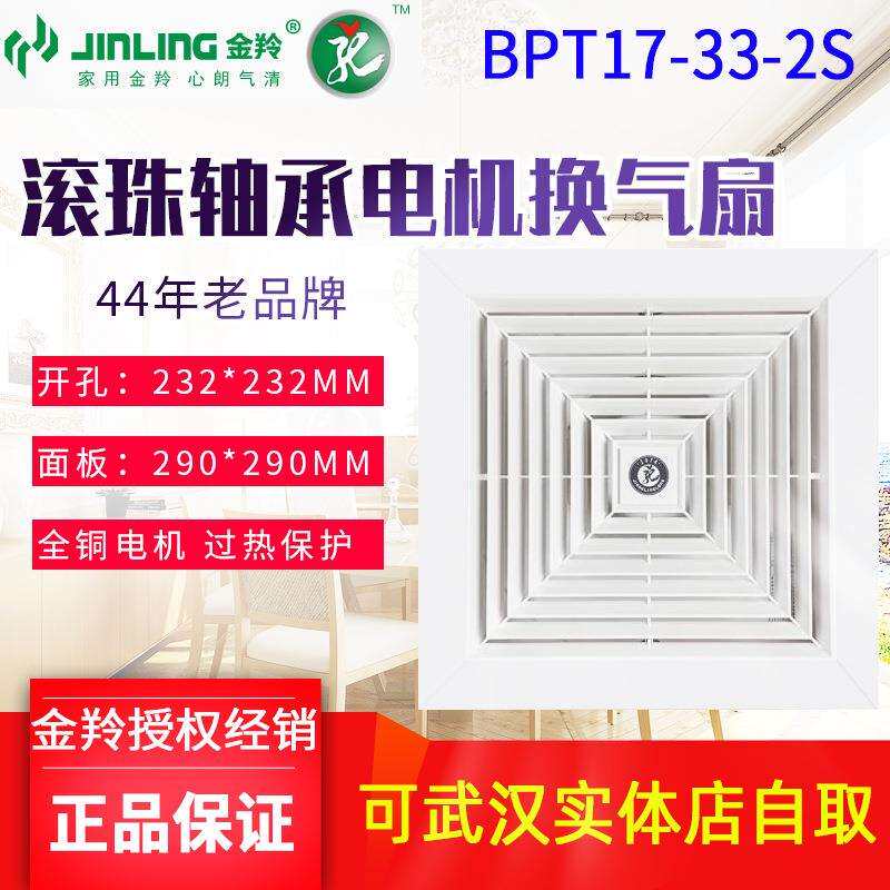 金羚10寸排气扇换气扇排风扇卫生间厨房吸顶式抽风机BPT12-24-2D