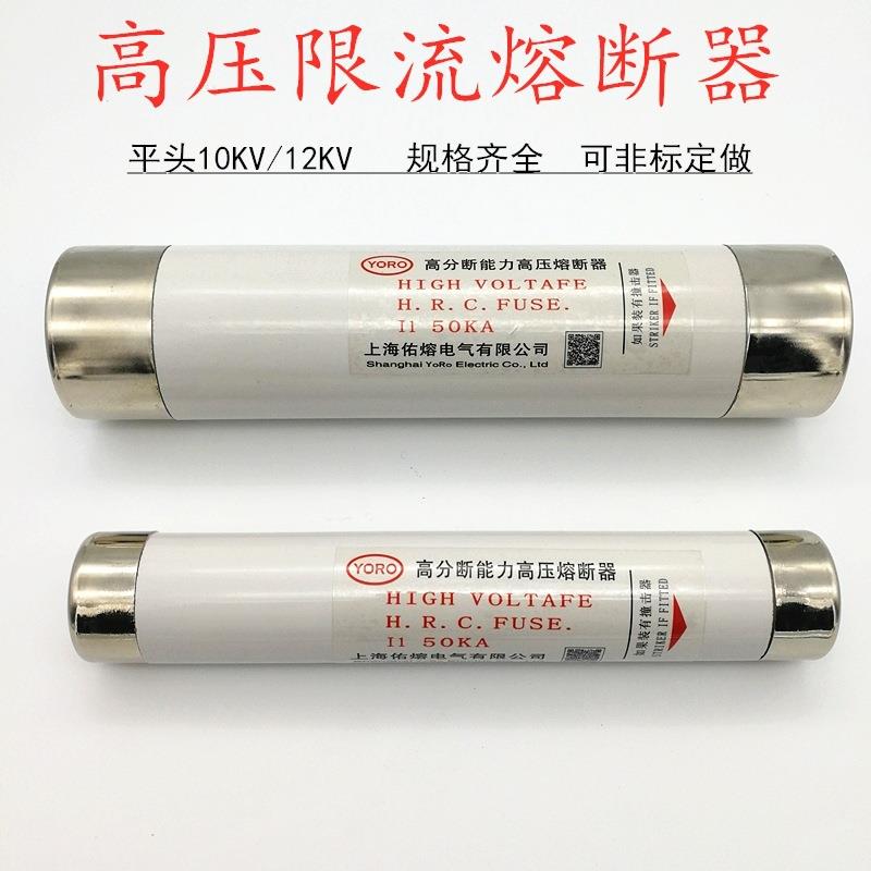 10KV高压熔断器平头XRNT12KV63A80A100A125A限流熔丝管直径76mm