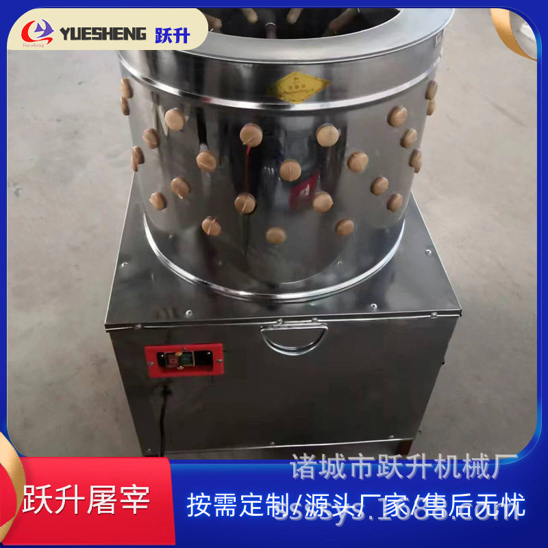 50型鸡脱毛机鸭脱毛机鸡打毛机家禽拔毛机源头工厂A018