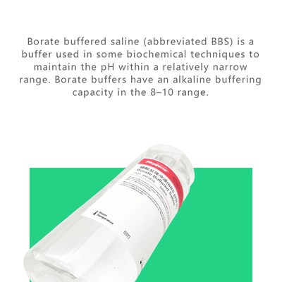 速发硼酸盐缓冲液 B缓冲液 pH8.0 Borate Buffered PH1816 PHYE