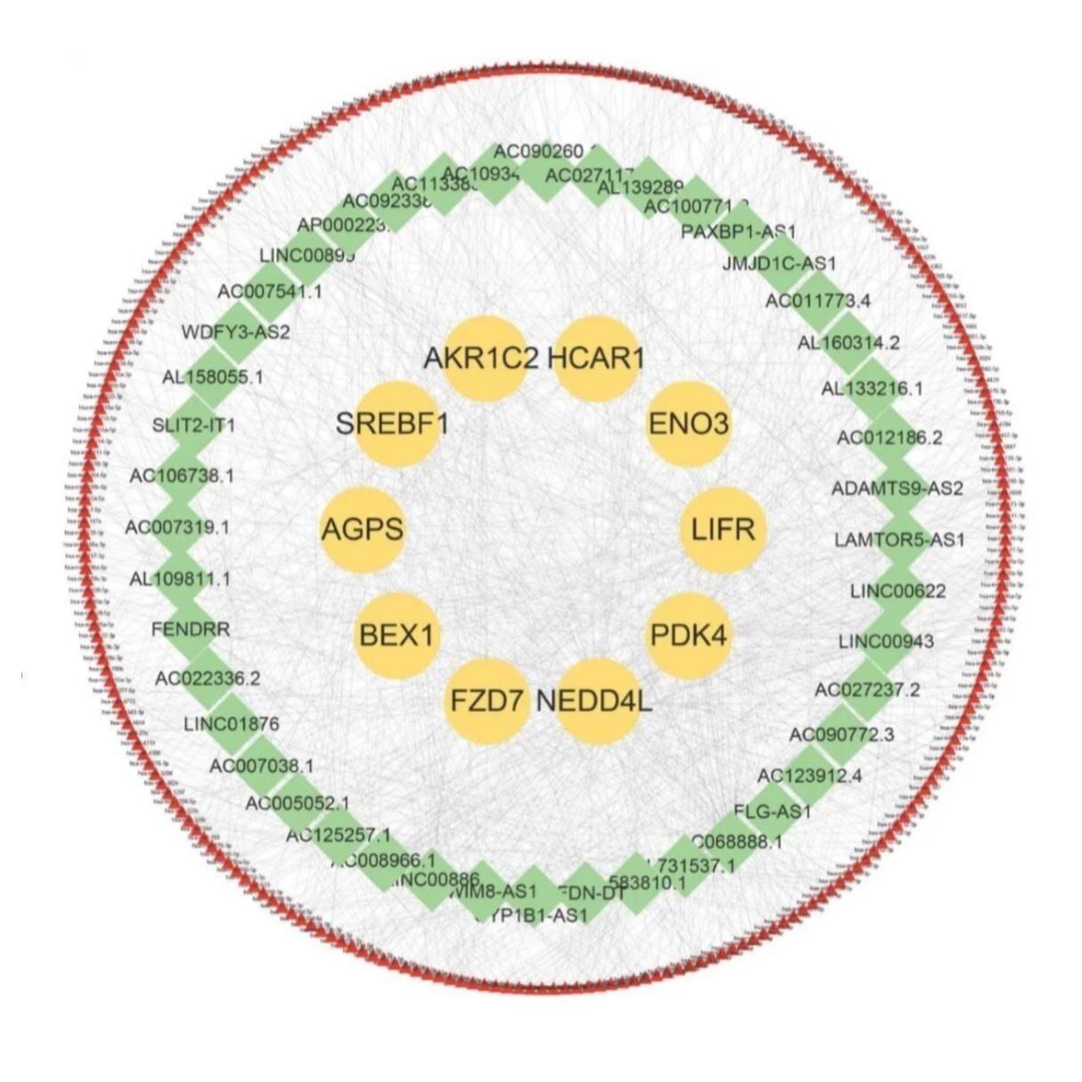 生信多组学联合TCGA GEO数据库挖掘孟德尔随机化服务