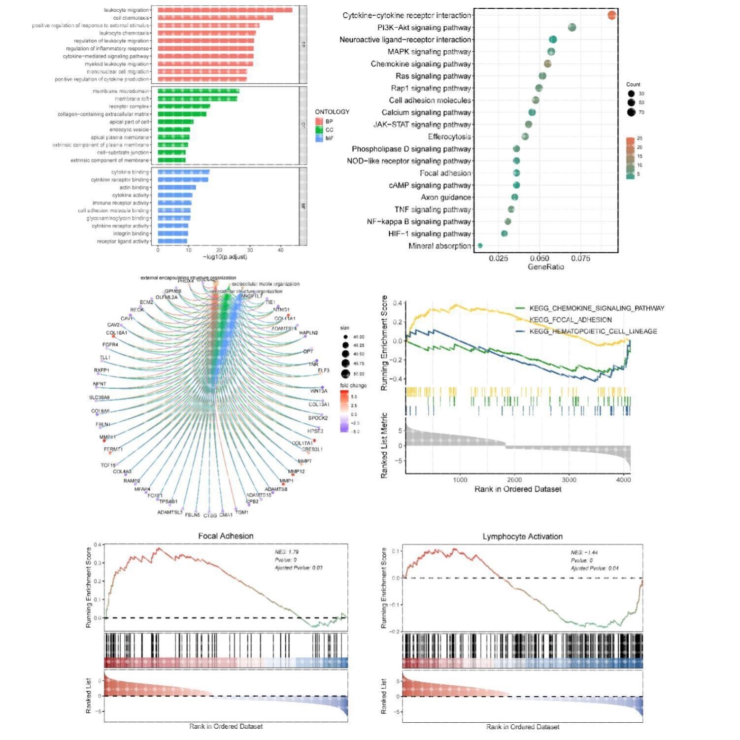 GOKEGG功能富集TCGA单基因GSEA分析,气泡图柱状图GSEA曲线图