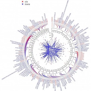 Python代编医学图像分割深度学习语义分割计算机视觉生成对抗网络
