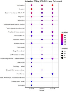 生信分析辅导GBD/NHANES/CHARLS数据挖掘医学sci发文