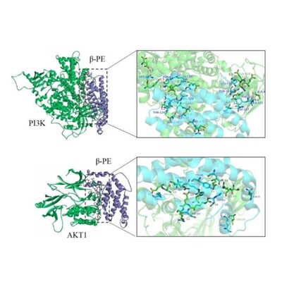 分子动力学模拟 DFT计算高斯 MS Gaussian Materials studio