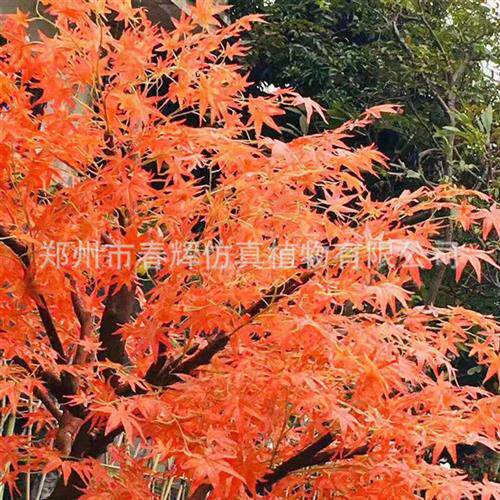 厂家直供仿真枫树枝仿真玻璃钢红枫树商场酒店楼盘装饰树可定制
