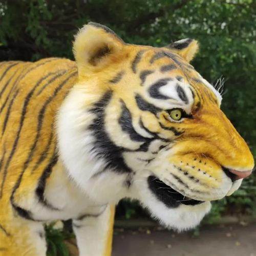 公园大型仿真动物展览装置景区公园电动机械老虎模型厂家直供