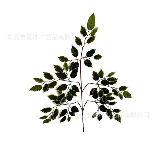 仿真榕树叶仿真尖嘴白边榕叶叉高仿人造假榕树叶植物墙绿化插花
