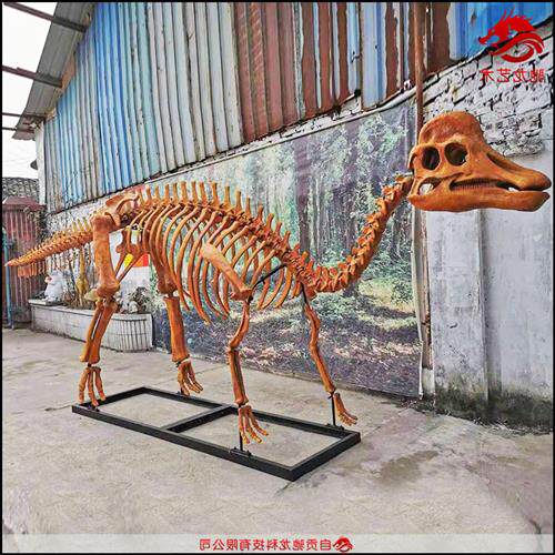 苍龙盔头龙鸭嘴龙慈母龙鳄龙玻璃钢骨架化石仿真恐龙霸王龙骨架