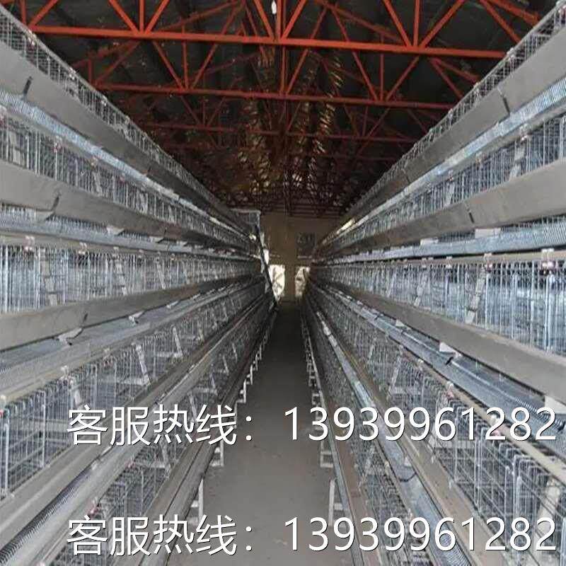 养殖场鸡舍自动清洗机器人 鸡笼智能清洗机 猪场自动行走高压清洗