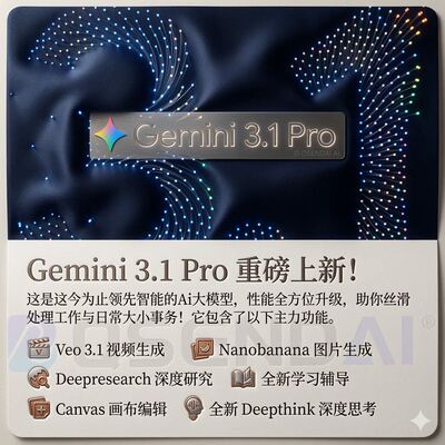 【Gemini3！稳定不降智】Gemini pro 3.1 veo nano高级版会员代充