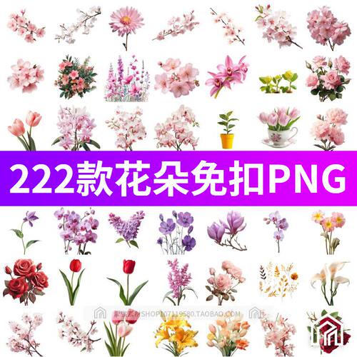 PS写实花朵鲜花插画花束花卉设计元素图案高清PNG免扣图手账素材