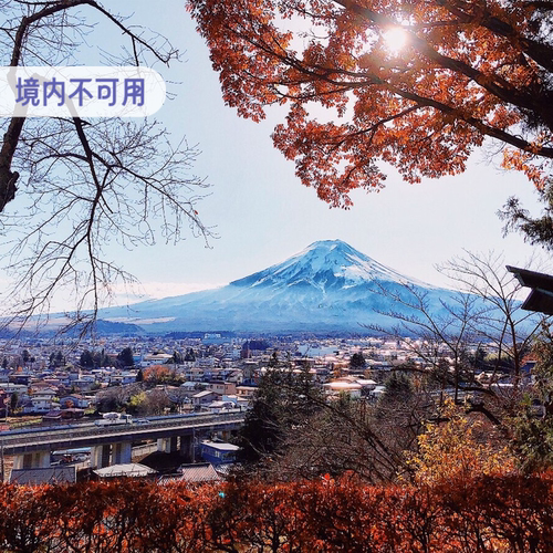 中国移动日本出境流量包