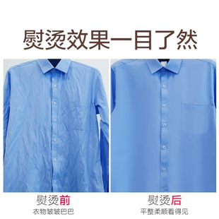 店炀润汤衣服电熨烫斗运慰抖器喷烝气 服装 水蒸汽挂烫机家用挂立式