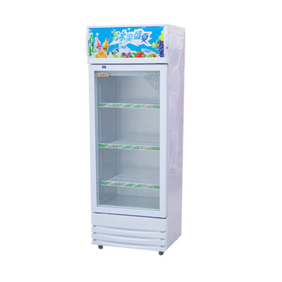 冷藏保鲜幼儿园食品留样柜带锁餐厅食堂家用小冰箱商用展示留样柜