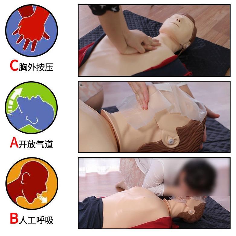 肺复模拟人模RC528P模拟假人急救训练人体苏型心肺复苏模拟人工呼