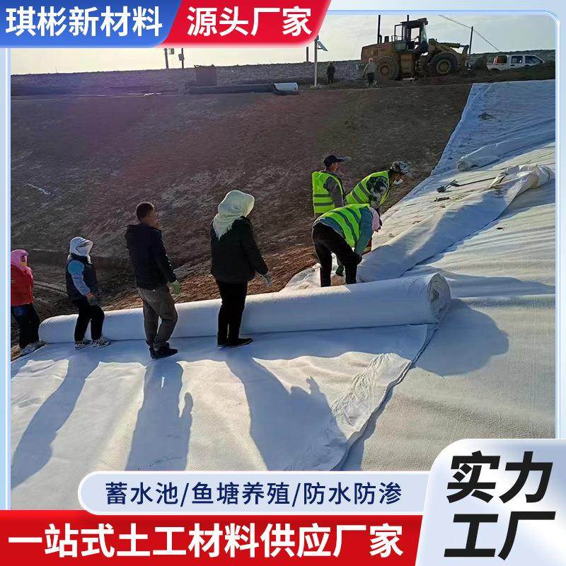 复合土工膜鱼塘防渗膜防水两布一膜一布一膜土工布复合加厚地膜