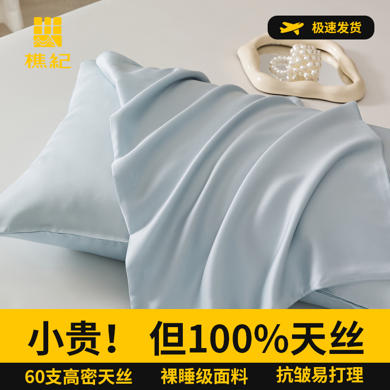 60支兰精天丝可可西里系列枕套
