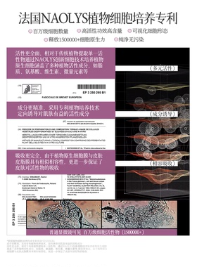 【蜜蜂惊喜社】法国vasice紧塑面霜紧致抗皱抗老玻色因修护