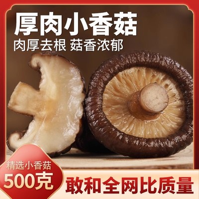 闽馋香福建特产香菇干货